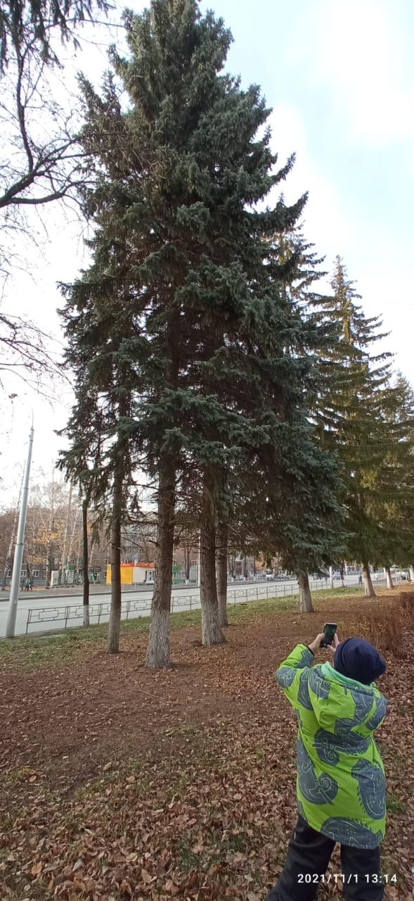 IMG 20211102 WA0024