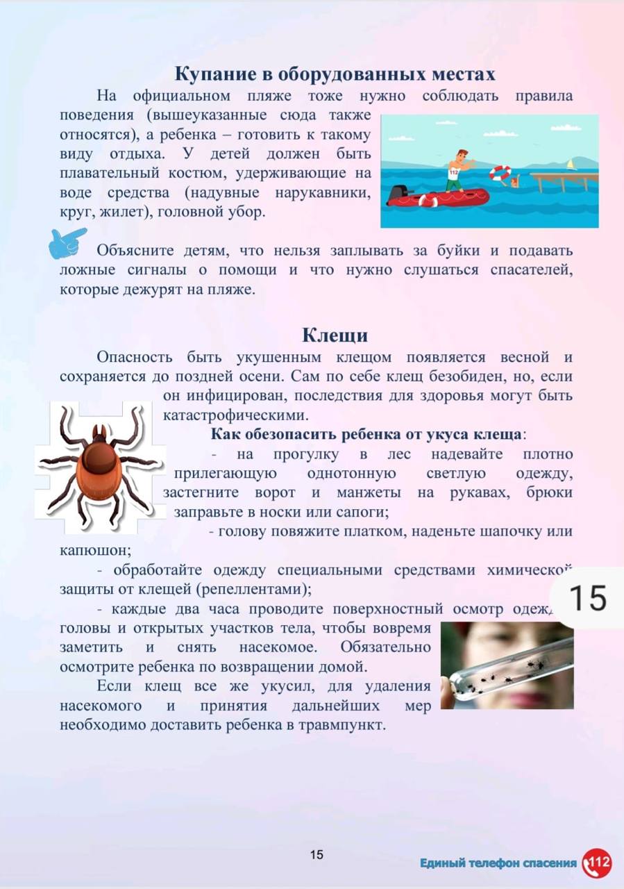 WhatsApp Image 2024 06 18 at 18.47.19